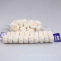 new crop Fresh Chinese 6p pure normal white garlic in bulk garlic price in China for wholesale